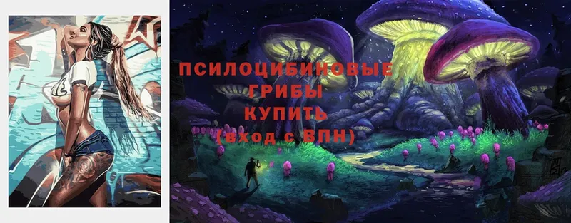 Псилоцибиновые грибы Psilocybe  дарнет шоп  мега зеркало  Орёл 